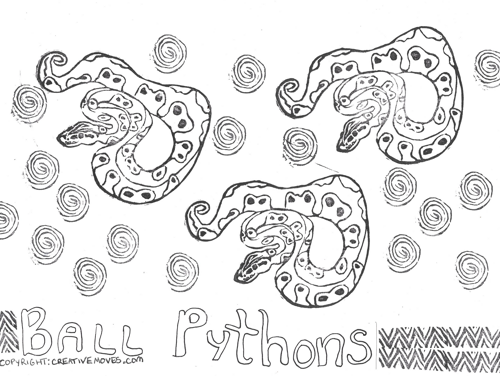 A black and white coloring page with three ball pythons and spirals scattered on it. There is balloon writing at the bottom that says ball pythons. 